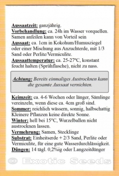 Preview: Michelia (Magnolia) champaca, Orange Champak, Fragrant Champaca, Sapu, 10 Samen